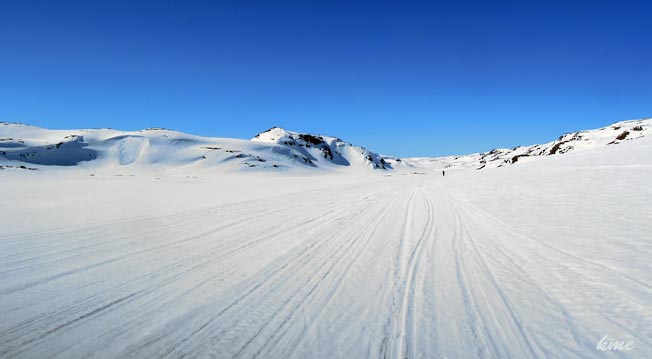 Finse_Lengjedalen_spor_og_Grete_2014