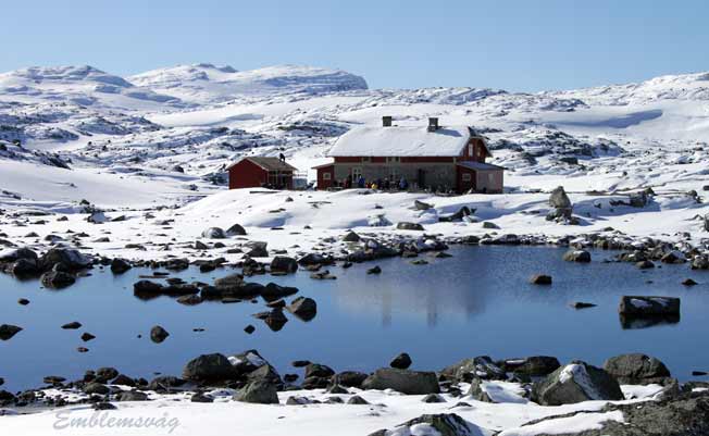 Finse_Rallarvegen_Fagernut