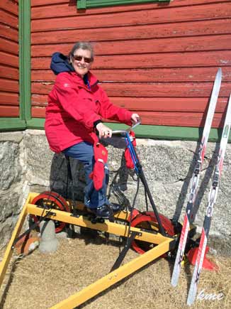 Finse_Sliraa_dressin_og_Grete_2014