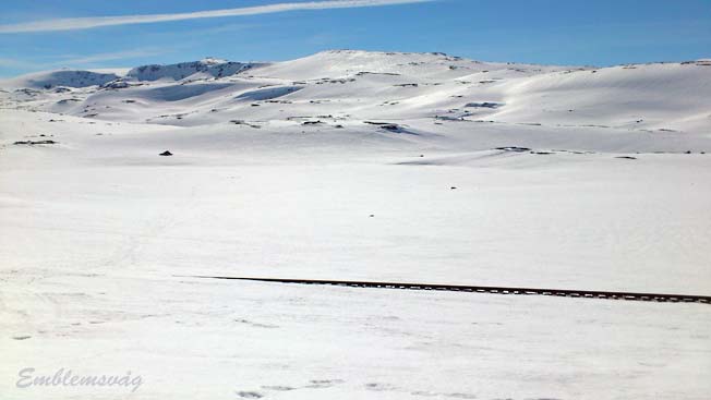 Finse_Sliraa_togskinner