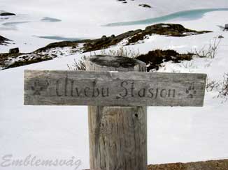 Finse_Ulvebu_stasjon_i_2009