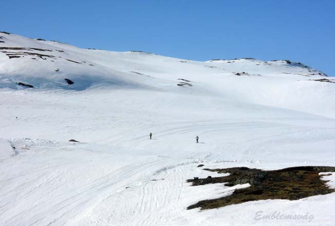 Finse_fra_Lengjedalshytta_2014