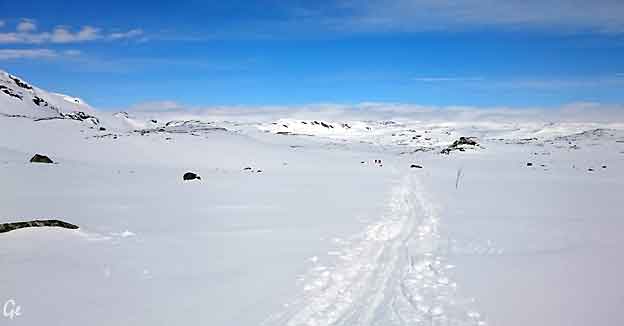 Finse_hvite_vidder_201