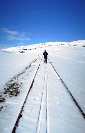 Finse_i_togskinna_Fagernut