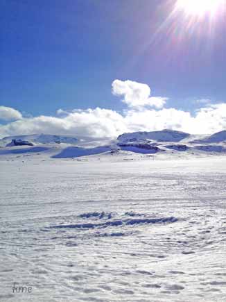 Finse_mot_Jokelen_sol_2014