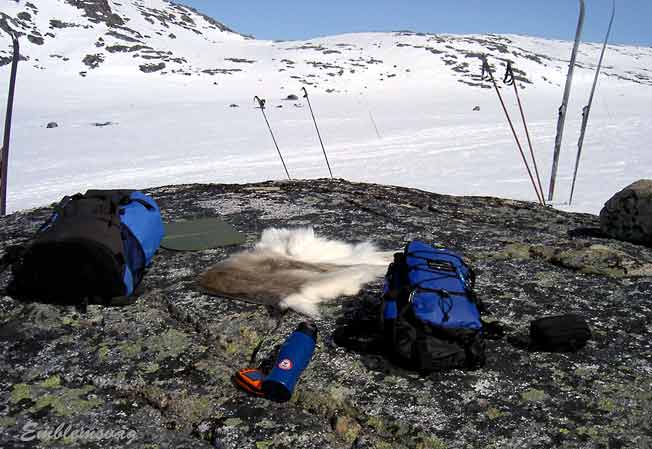 Finse_rasteplass_i_2007