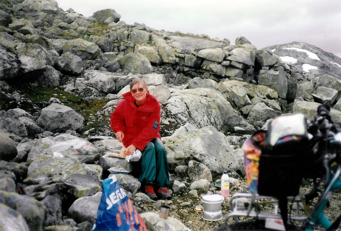 Rallarvegen_Finse-Hallingskeid