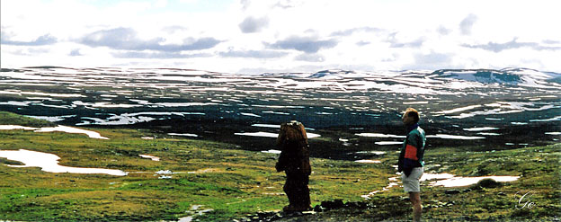 Hardangervidda ved
                  Dyranut