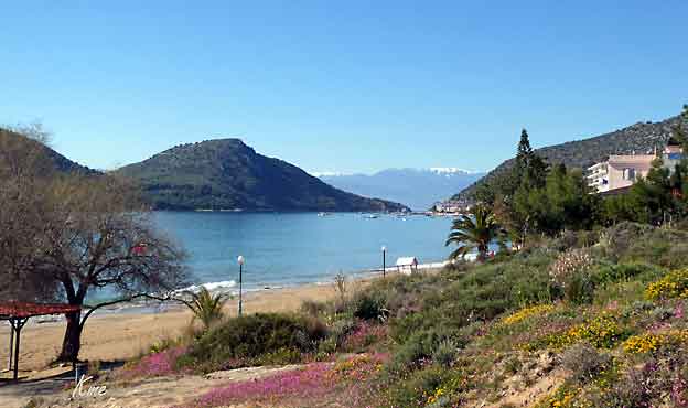 Hellas_Tolo_strand_og_blomstereng