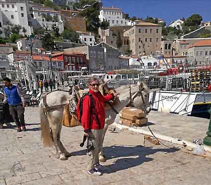 Hellas_Hydra_Grete_og_hesten