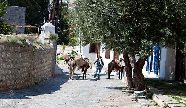 Hellas_boat_to_Hydra_and_Spetses