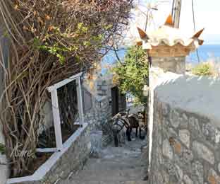 Hellas_boat_to_Hydra_and_Spetses