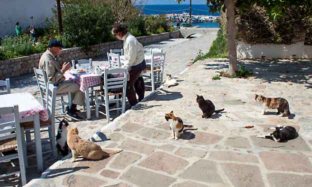 Hellas_boat_to_Hydra_and_Spetses