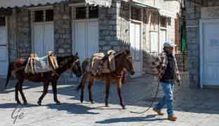 Hellas_boat_to_Hydra_and_Spetses