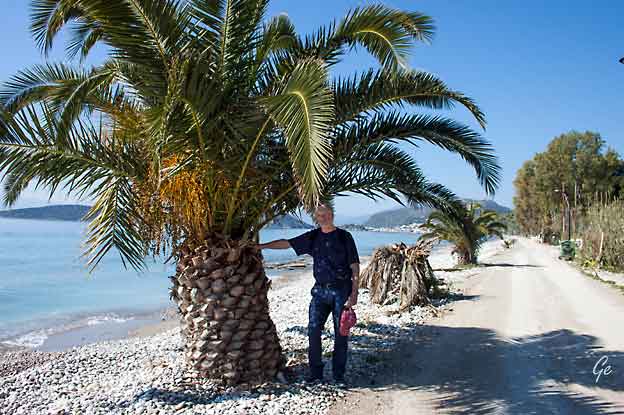 Hellas_Tolo_nasjonaldag