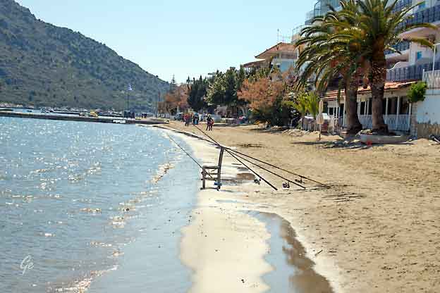 Hellas_Tolo_Nasjonaldag_