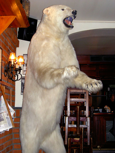 Tromso_oelhallen_icebear