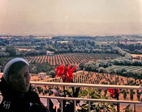 Libanon_Kanaans-land_eller_Bekaadalen_La-Gondole
