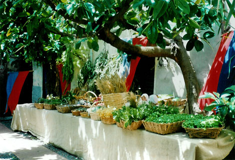 Italia_Cervo_krydder