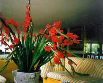 Italia_Diana-Marina_hotel-Villa-Marina