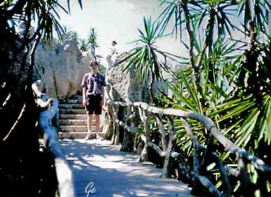 Monaco_Botanisk_hage