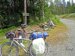 Nordmarka_rast_ved_Langlidamme