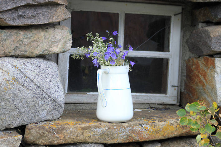 Jotunheimen_Gjendebu_blomstervindu