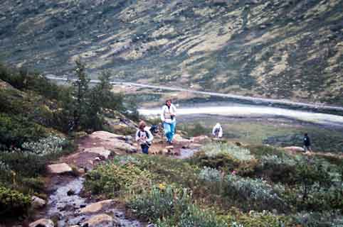 Jotunheimen_Galhopiggentur_bratt_fra_Spiterstulen