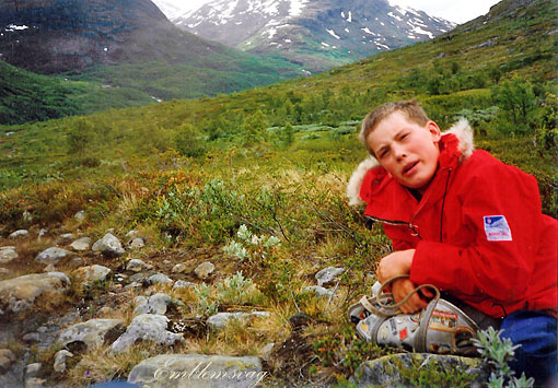 Jotunheimen_mot_Skogadalsboen