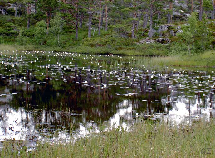 Lindesnes_Nordkapp_Tustna