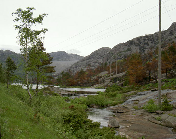 Lindesnes_Nordkapp_merker_etter_skogbrann.