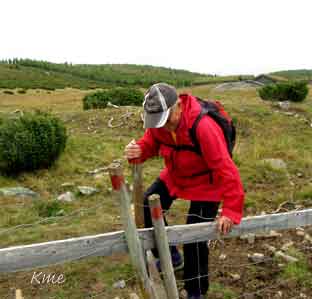 Langsua_Liomseter_Grete_hinder