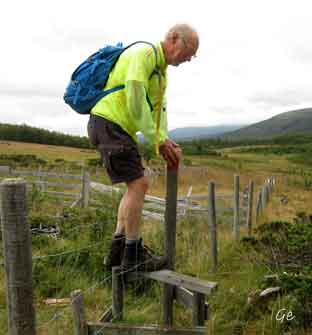 Langsua_Liomseter_KM_hinder