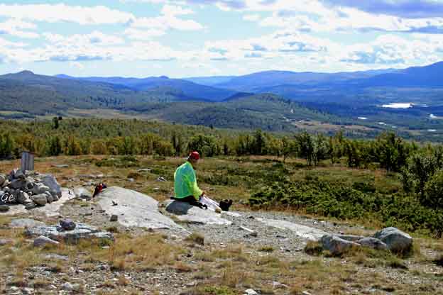 Langsua_Vakkerlifjell