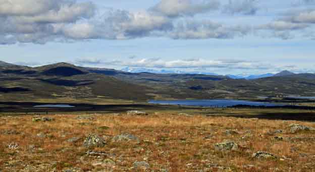 Langsua_fra_Nordre-Suluho