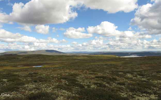 Langsua_nasjonalpark