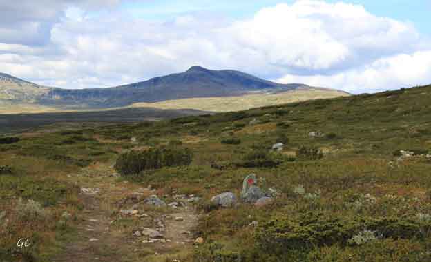 Langsua_nasjonalpark