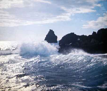 Madeira_Funchal_Lido