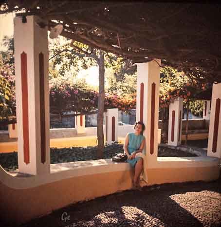 Madeira_Funchal_Villa_Quinta