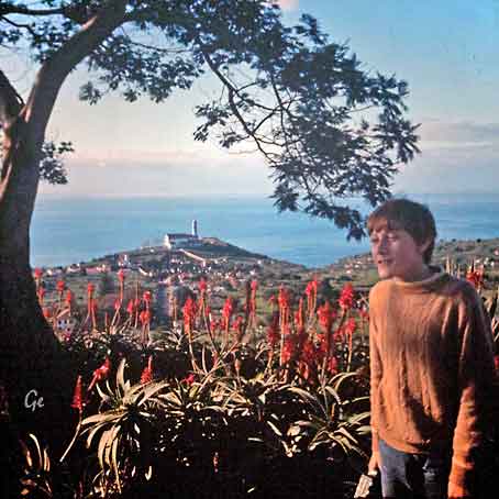 Madeira_Funchal_Pico-dos_Barcelos_355moh