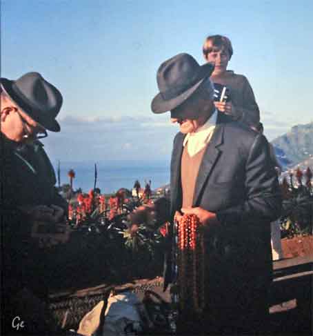 Madeira_Funchal_Pico-dos_Barcelos_355moh