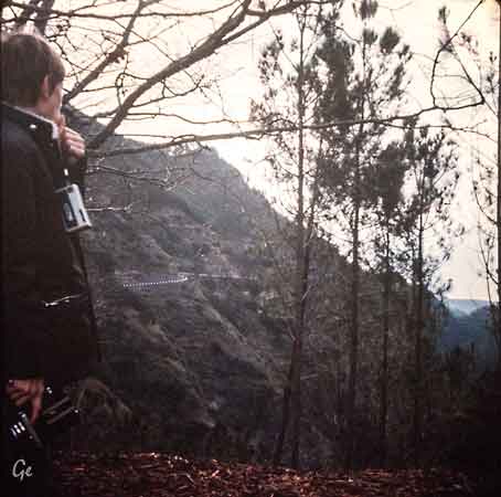 Madeira_veien_til_Pico-do-Serrado