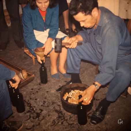 Madeira_Funchal_Madeiravin