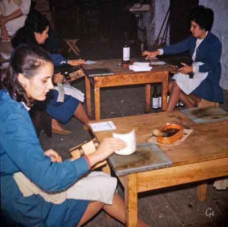 Madeira_Funchal_Madeiravin