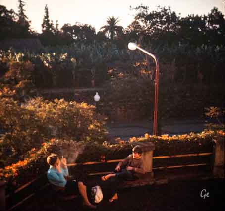 Madeira_Funchal_Villa_Quinta