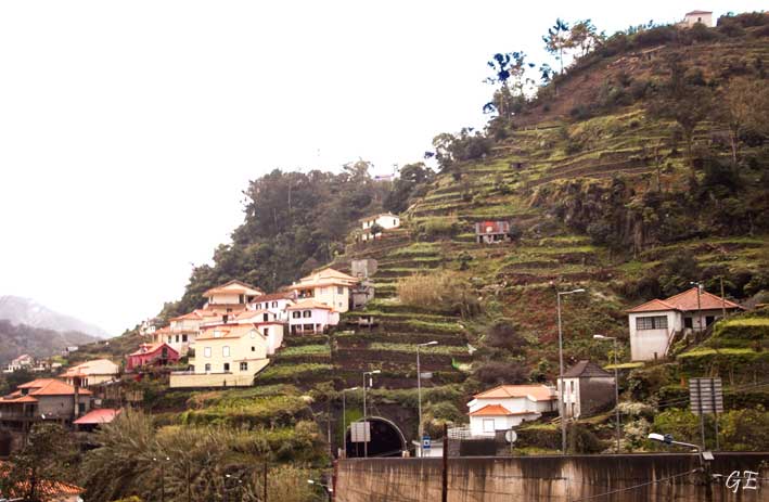 Madeira_Canical_Marocos_01_levadavandring