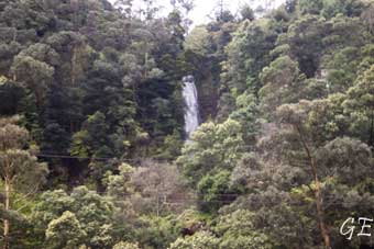 Madeira_Canical_Marocos_levadavandring