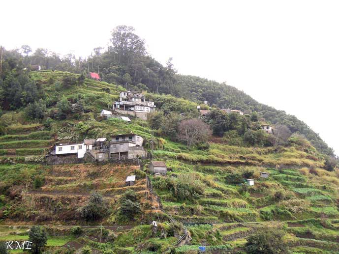 Madeira_Canical_Marocos_levadavandring