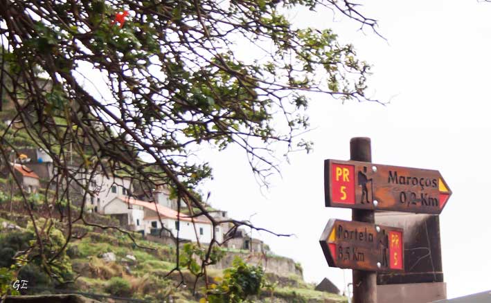 Madeira_Canical_Marocos_levadavandring