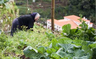Madeira_Canical_Marocos_levadavandring